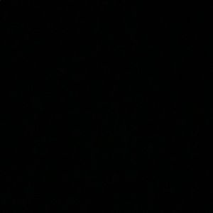 Meet your Posher, Brandi